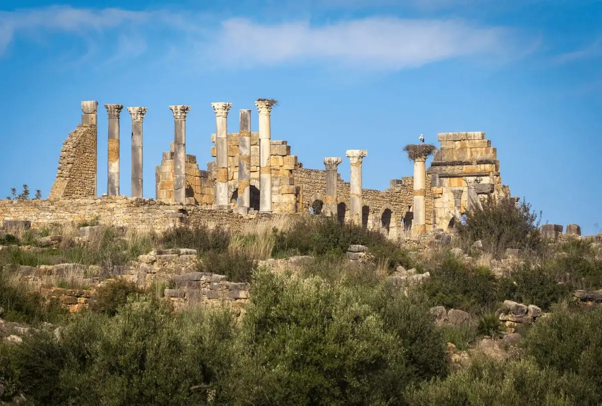 Exploring the Ancient Marvel: Volubilis, Morocco's Timeless Treasure