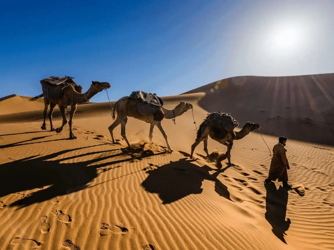 Marrakech Express 6 Days Tour from Tangier