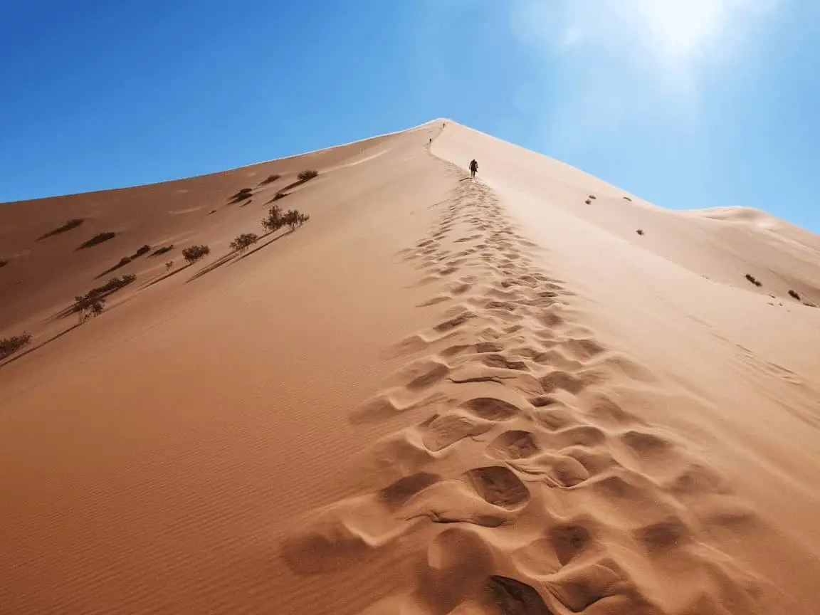 The Best of Morocco in 8 Days: Is It Enough Time?
