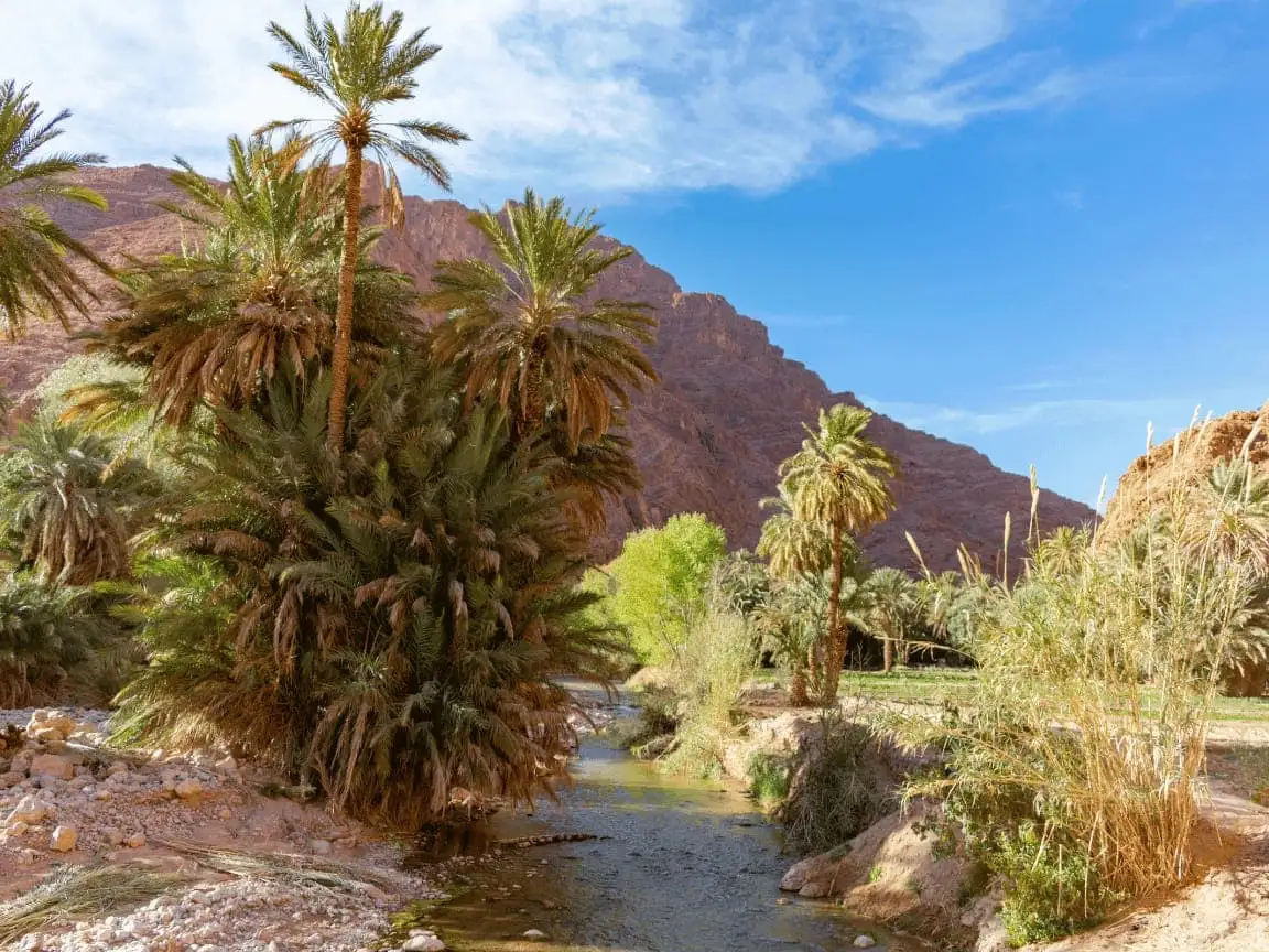 How to Get Around Morocco: Trains, Buses, Taxis, Car Hire & Flights